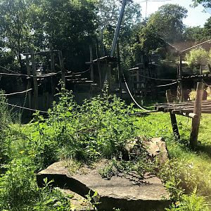 Zoo Antwerpen- chimpanzee enclosure- 2021