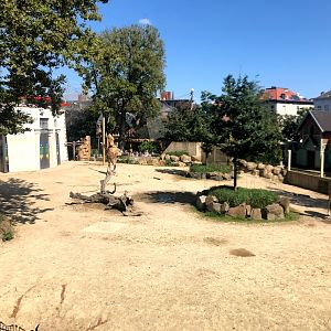 Zoo Antwerpen- savannah enclosure- 2021