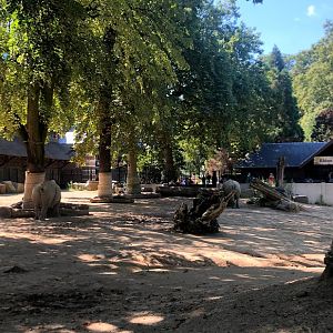 Zoo Antwerpen- white rhino enclosure- 2021