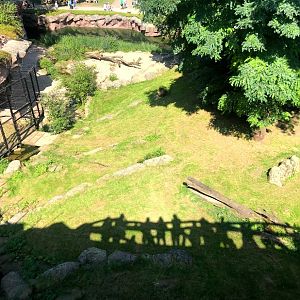 Zoo Antwerpen- view onto the lion enclosure- 2021