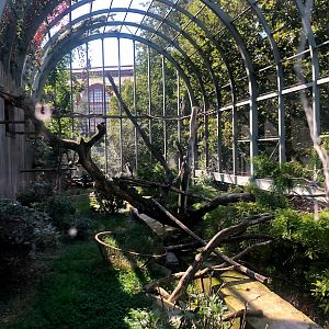 Zoo Antwerpen- walk-through aviary- 2021