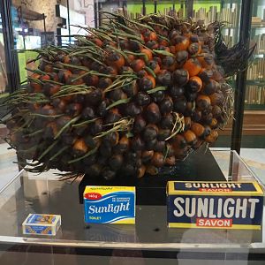 Palm nuts and palm oil products display, 2021-10-20