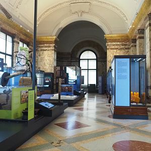 The Resource Paradox Hall, 2021-10-20