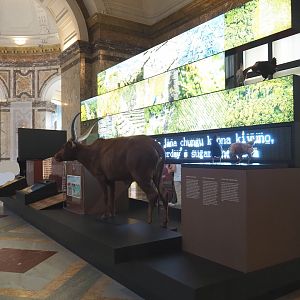 Display on agriculture, 2021-10-20