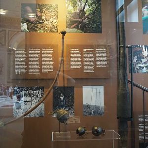 Display on bushmeat hunting, 2021-10-20