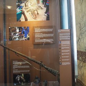 Display on bushmeat hunting, 2021-10-20