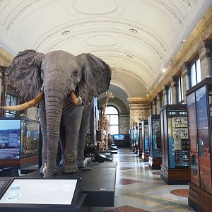 Landscapes and Biodiversity Hall, 2021-10-20