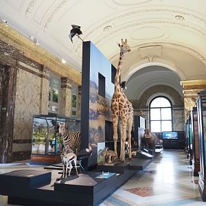 Landscapes and Biodiversity Hall, 2021-10-20