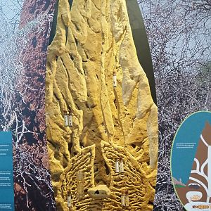 Macrotermes bellicosus termite mound display with termite specimens, 2021-10-20