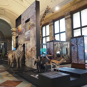 Landscapes and Biodiversity Hall, 2021-10-20