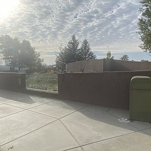 Black-Tailed Prairie Dog Exhibit