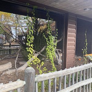 Small Animal Rotunda - Great-Horned Owl Exhibit