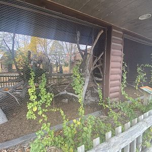 Small Animal Rotunda - Barred Owl Exhibit