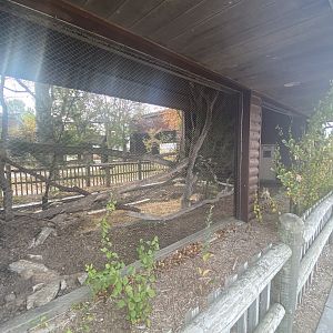 Small Animal Rotunda - Swift Fox Exhibit
