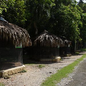 Birds of prey aviaries