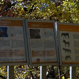 African Savannah  Signage