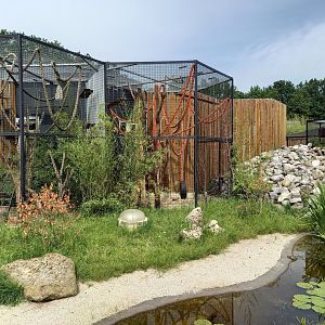 Pond turtle ( front ) and Marten and Coati enclosures ( back )