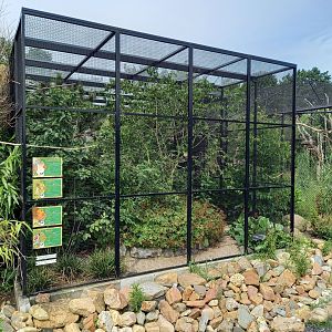 Aviary European birds