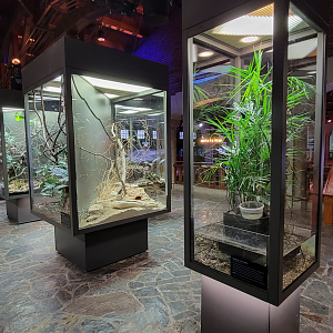 Oct. 2021 - Museum of Science - Hall of Venom