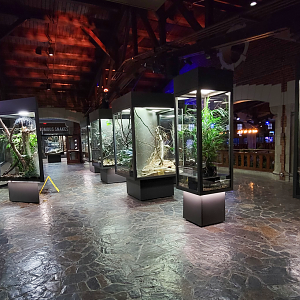 Oct. 2021 - Museum of Science - Hall of Venom