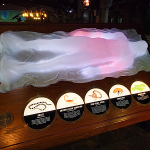 Oct. 2021 - Museum of Science - Hall of Venom - How Venom Affects the Human Body