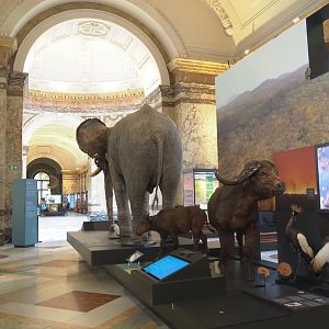 Landscapes and Biodiversity Hall, 2021-10-20