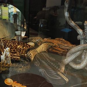 Display on CITES and illegal animal products, 2021-10-20