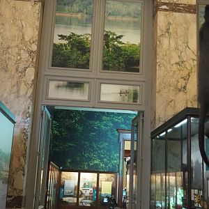 Access to the forest and mangrove section of the Landscapes and Biodiversity Hall, 2021-10-20