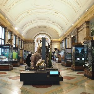 Landscapes and Biodiversity Hall, 2021-10-20