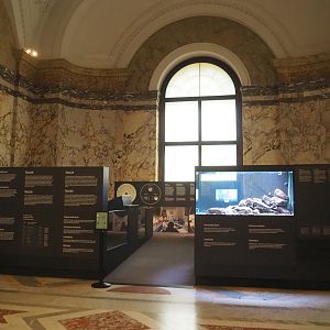 Taxolab area of the Landscapes and Biodiversity Hall, 2021-10-20