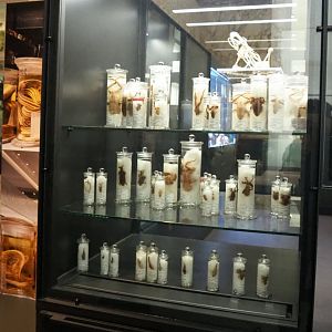 Display of amphibian specimens in the Taxolab area, 2021-10-20