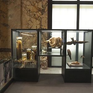 Display cases in the Taxolab, 2021-10-20