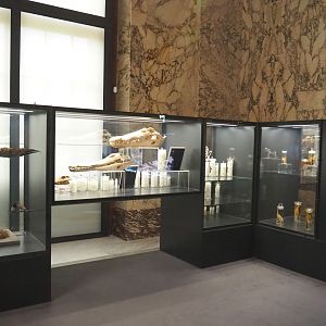 Display cases in the Taxolab, 2021-10-20