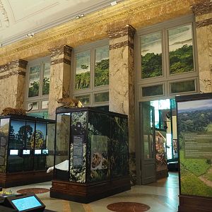 Display cases and accesses to the forest and mangrove section of the Landscapes and Biodiversity Hall, 2021-10-20