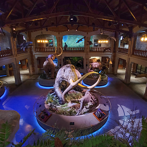 Oct. 2021 - Museum of Science - Ohio: After the Ice