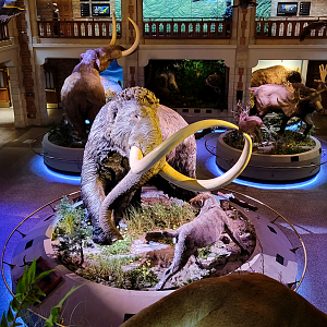 Oct. 2021 - Museum of Science - Ohio: After the Ice