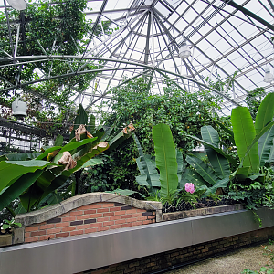 Oct. 2021 - Museum of Science - Tropics Upper Level)