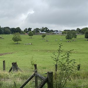 Outdoor Grassland area for Wild Explorers 120821