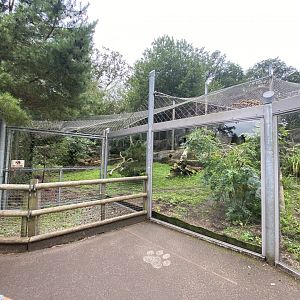 Snow leopard enclosure 120821