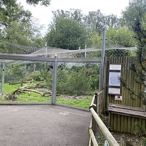 Snow leopard enclosure 120821