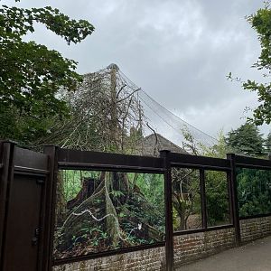 Life in the Trees - Binturong enclosure 120821