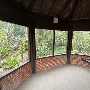 Life in the Trees - Binturong enclosure 120821