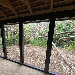 Life in the Trees - Lemur enclosure 120821