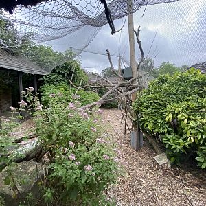 Life in the Trees - Lemur enclosure 120821