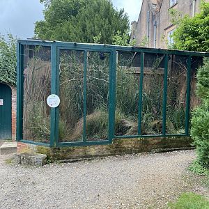 Bearded tit aviary 120821