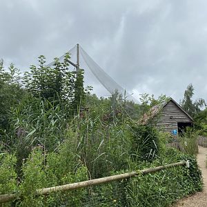 Life among the Trees - Siamang enclosure 120821