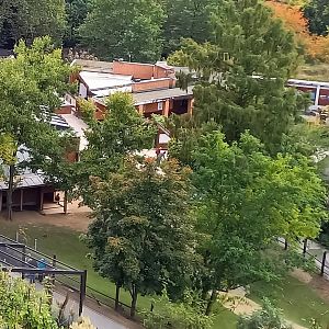 Kangaroo Walk-through from above