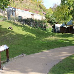 Kangaroo Walk-through