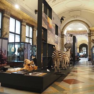 Landscapes and Biodiversity Hall, 2021-10-20