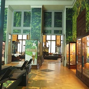 Rainforests and mangroves section of the Landscapes and Biodiversity Hall, 2021-10-20